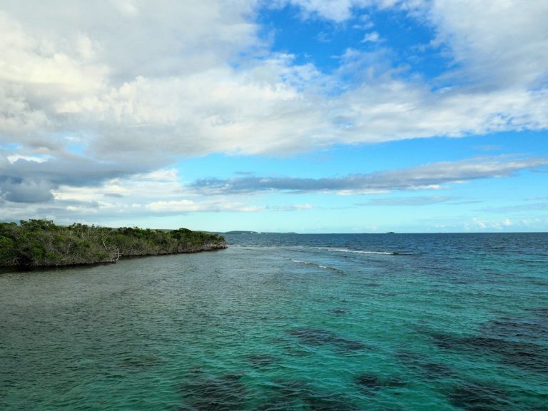 US Territory Puerto Rico And Cannabis