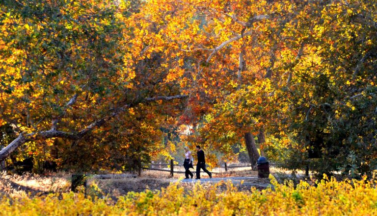 A ‘crisp, fall-like weekend’: Bay Area to see a cold, dry holiday break