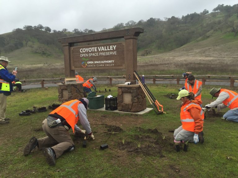 Santa Clara Valley Open Space Authority seeks volunteers