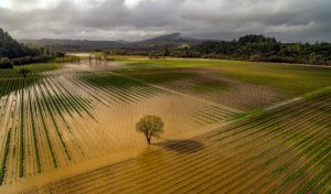 Flood advisory and flood watch issued for areas near Santa Rosa