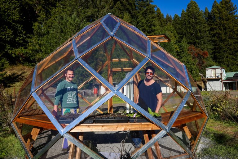 What is solarpunk? Inside an audaciously hopeful environmental movement that’s thriving in the Bay Area