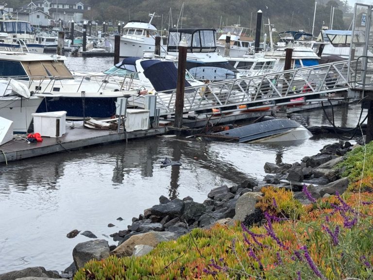 Santa Cruz boat owners left reeling after gigantic wave event