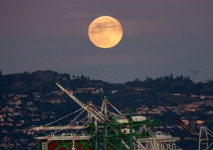 Photos: The full Wolf Moon rises around the Bay and the world