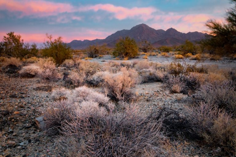 Biden establishes 2 new national monuments in California, as part of final big environmental push