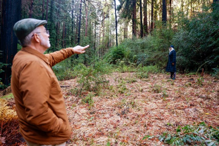 As climate ‘whiplash’ worsens, post-CZU soil erosion in the Santa Cruz Mountains reveals post-wildfire problems