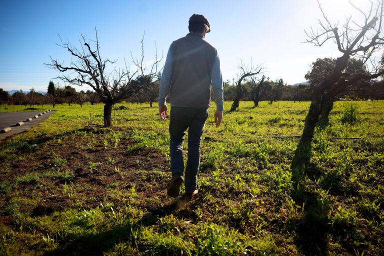 Even in winter, volunteers maintain valley’s orchard legacy