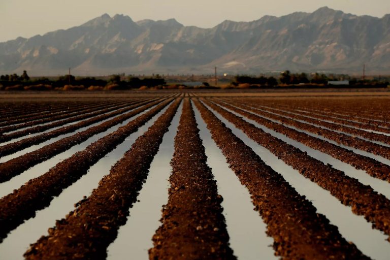 Donald Trump’s California water order does more for farms than wildfires