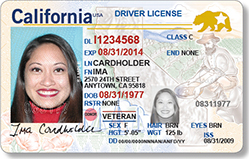 All you want to know about Real ID and more