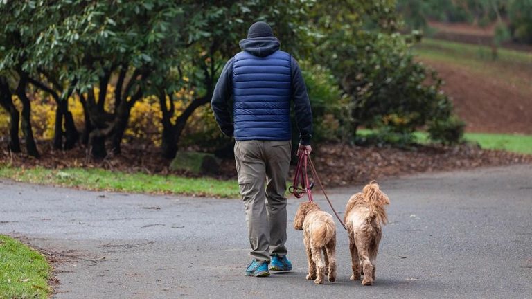 The best puffer vests for warmth without the bulk