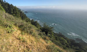 Map: Southern end of California’s Lost Coast to be opened to public