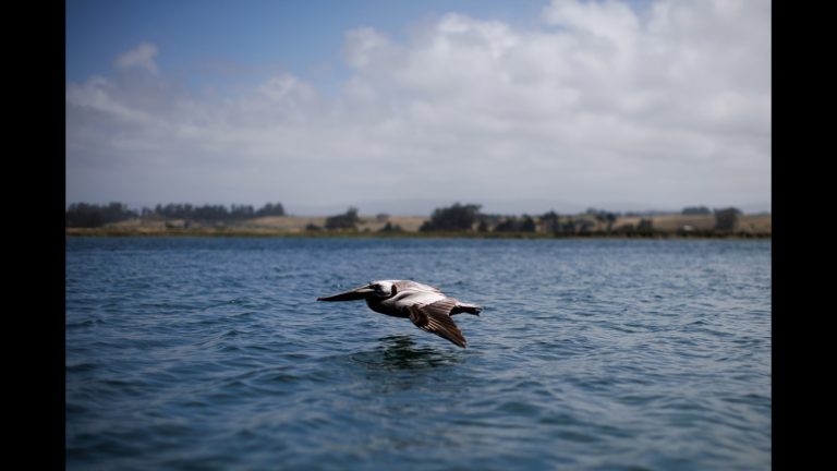 Proposed California water law would revive Clean Water Act rules