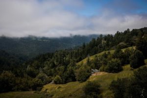 $24 million land deal creates 7-mile long corridor of protected redwood forests to the ocean