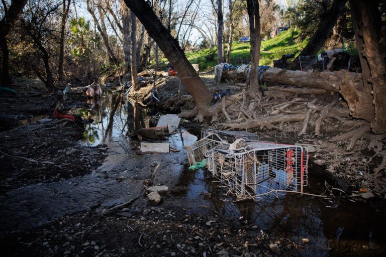 San Jose eyes reforms to combat abandoned shopping cart problem