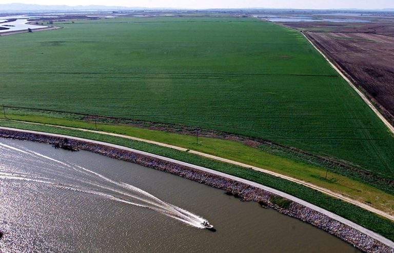 Opinion: California’s smart and vocal farmers keep silent as Trump wastes water