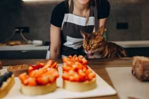 Cat’s constant presence on the kitchen cabinets ruining Cupertino woman’s appetite