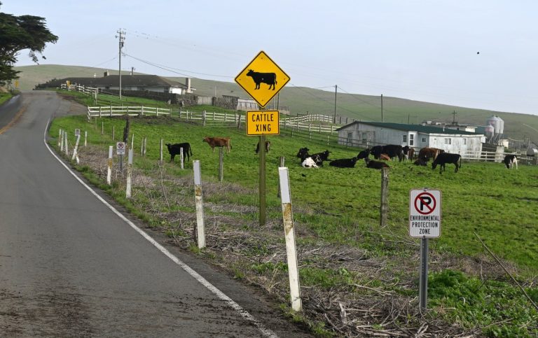 Niman Ranch founders sue US over Point Reyes land deal