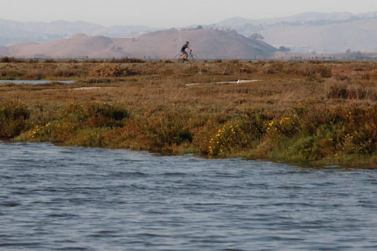 Palo Alto flood basin to be sprayed for aggressive mosquitoes