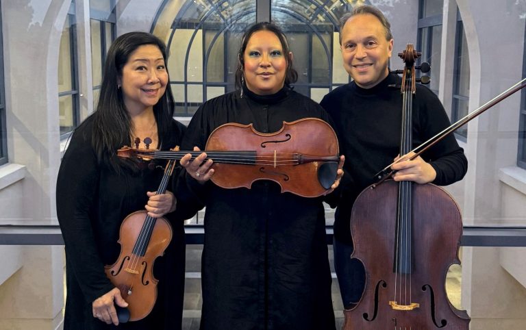 ‘Drizzle’ is in the forecast for SJ Chamber Orchestra