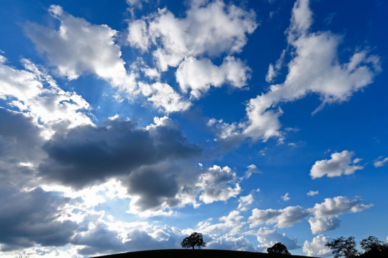 Bay Area weather showing signs of spring; warming pattern to come after final sprinkle of rain