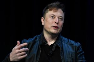 Even Musk Fans Dash for the Sidelines With Tesla in Freefall