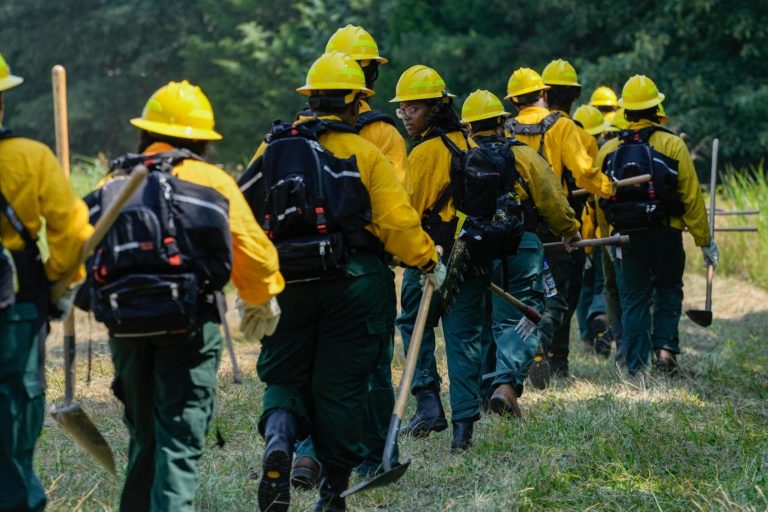 Donald Trump backs higher pay for wildland firefighters while DOGE cuts wildfire support staff