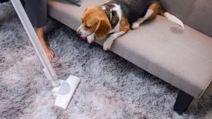 Keep your home fur-free with these powerful pet vacuums