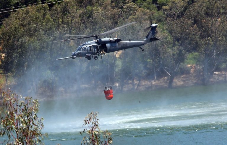 Eucalyptus trees removed in Los Gatos nature preserve to improve wildfire resiliency